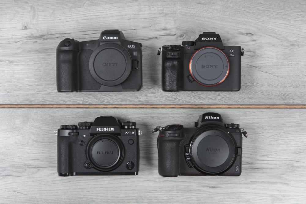 Mirrorless cameras